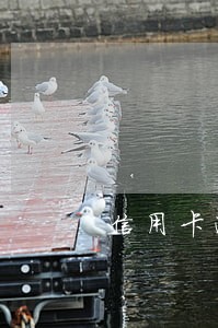 信用卡逾期六个月只还本金