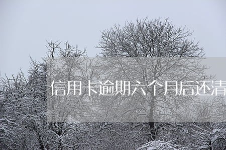信用卡逾期六个月后还清了 信用卡逾期六个月后还清了