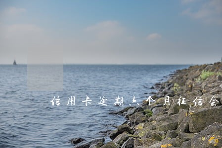 信用卡逾期六个月征信会怎么样 信用卡逾期六个月征信会怎么样