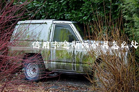 信用卡逾期六个月怎么处理 信用卡逾期六个月怎么处理