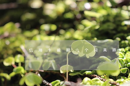 信用卡逾期六个月来抓人 信用卡逾期六个月来抓人