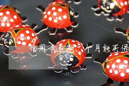 信用卡逾期六个月能买保险吗 信用卡逾期六个月能买保险吗