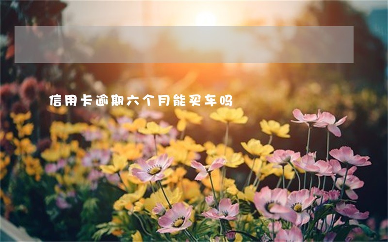 信用卡逾期六个月能买车吗