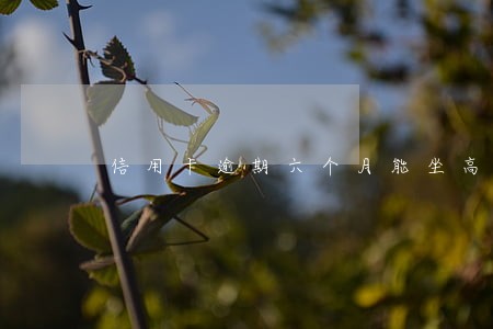信用卡逾期六个月能坐高铁吗