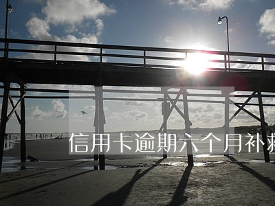 信用卡逾期六个月补救 信用卡逾期六个月补救