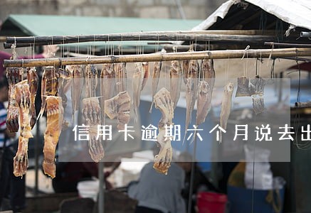 信用卡逾期六个月说去出生地 信用卡逾期六个月说去出生地