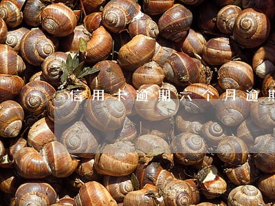 信用卡逾期六个月逾期一万