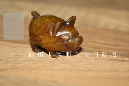 信用卡逾期六个月额度 信用卡逾期六个月额度
