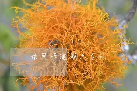 信用卡逾期六千元