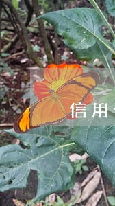 信用卡逾期六千多 信用卡逾期六千多