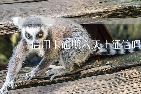 信用卡逾期六天上征信吗 信用卡逾期六天上征信吗