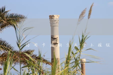 信用卡逾期六天会上报征信 信用卡逾期六天会上报征信