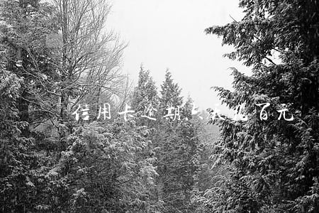 信用卡逾期六天几百元