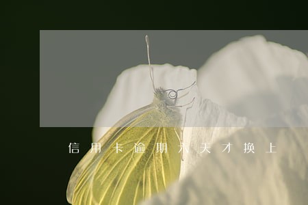 信用卡逾期六天才换上 信用卡逾期六天才换上