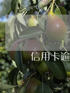 信用卡逾期六天还能用吗