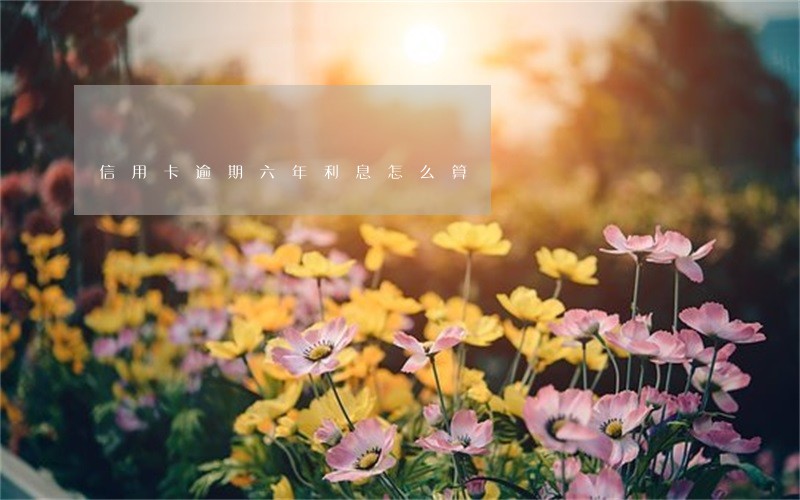 信用卡逾期六年利息怎么算