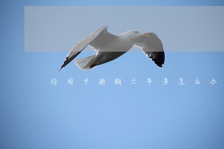 信用卡逾期六年多怎么办