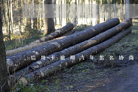信用卡逾期六年怎么协商 信用卡逾期六年怎么协商