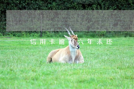 信用卡逾期六年未还 信用卡逾期六年未还