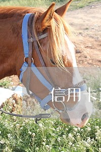 信用卡逾期六年竟然不打电话 信用卡逾期六年竟然不打电话