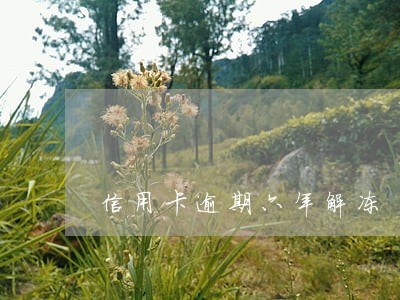 信用卡逾期六年解冻