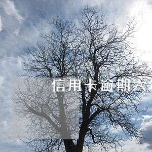 信用卡逾期六年还清 信用卡逾期六年还清