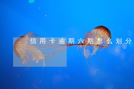 信用卡逾期六期怎么划分五级 信用卡逾期六期怎么划分五级