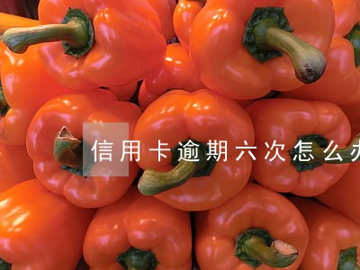 信用卡逾期六次怎么办贷款