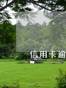 信用卡逾期六次被冻结了