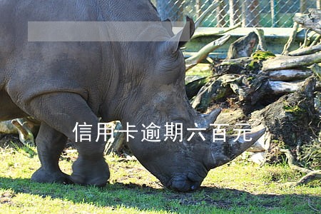 信用卡逾期六百元 信用卡逾期六百元