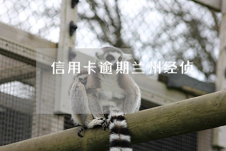 信用卡逾期兰州经侦 信用卡逾期兰州经侦