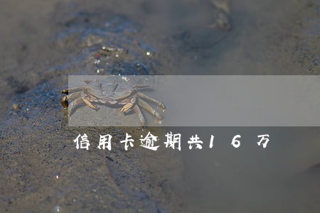信用卡逾期共16万