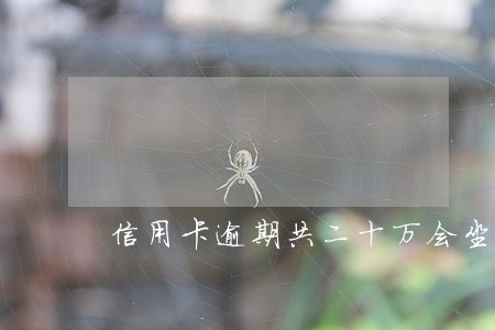 信用卡逾期共二十万会坐牢吗 信用卡逾期共二十万会坐牢吗