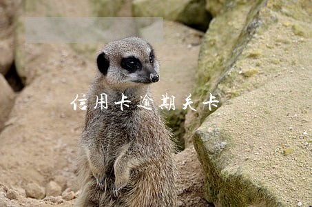 信用卡逾期关卡