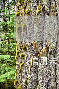 信用卡逾期关家人被骚扰 信用卡逾期关家人被骚扰