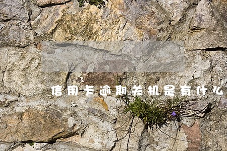 信用卡逾期关机是有什么后果