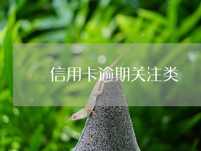 信用卡逾期关注类