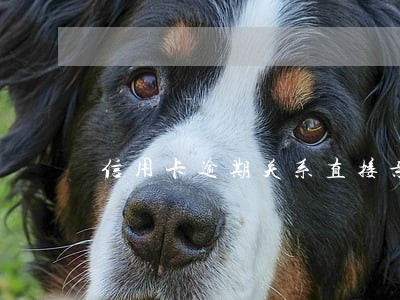 信用卡逾期关系直接亲属 信用卡逾期关系直接亲属