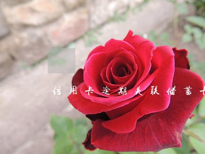 信用卡逾期关联储蓄卡怎么取消 信用卡逾期关联储蓄卡怎么取消