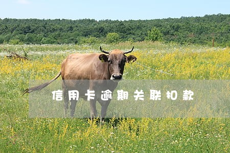 信用卡逾期关联扣款 信用卡逾期关联扣款