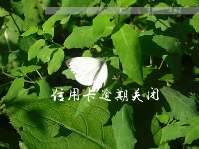 信用卡逾期关闭