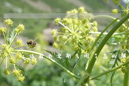信用卡逾期关闭了怎么解冻 信用卡逾期关闭了怎么解冻