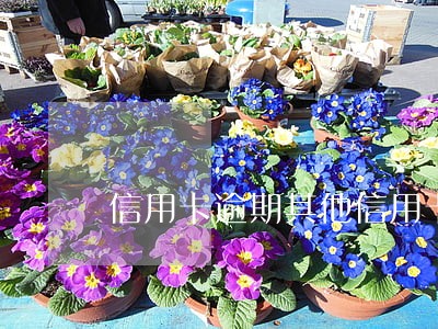 信用卡逾期其他信用卡会降额度吗 信用卡逾期其他信用卡会降额度吗