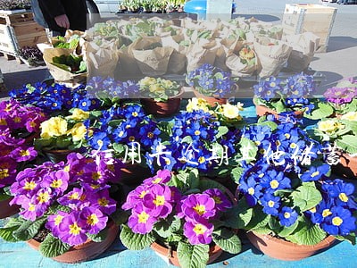 信用卡逾期其他储蓄卡用不了