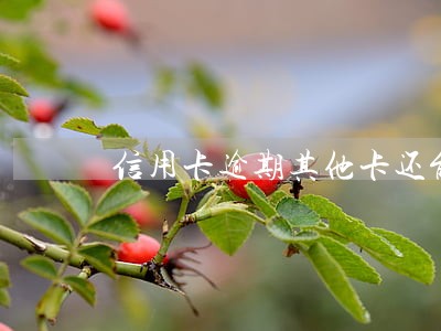 信用卡逾期其他卡还能用吗