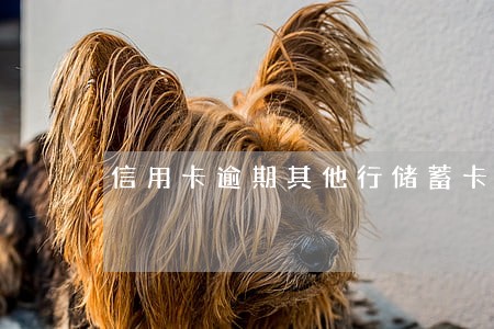 信用卡逾期其他行储蓄卡会冻结吗 信用卡逾期其他行储蓄卡会冻结吗