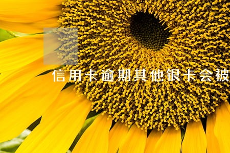 信用卡逾期其他银卡会被冻结吗