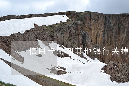 信用卡逾期其他银行关掉额度 信用卡逾期其他银行关掉额度