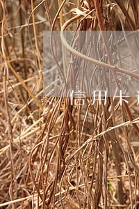 信用卡逾期其它费用