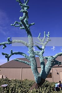 信用卡逾期养老金被划走怎么办